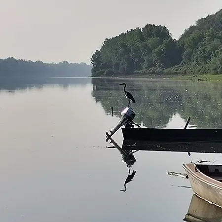 Vikendica Tisa Dukatar Сasa de vacaciones Titel