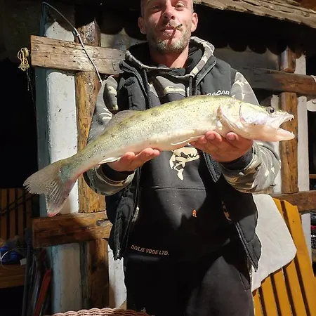 Vikendica Tisa Dukatar *