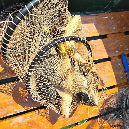 Сasa de vacaciones Vikendica Tisa Dukatar *