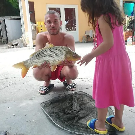 Vikendica Tisa Dukatar * Titel