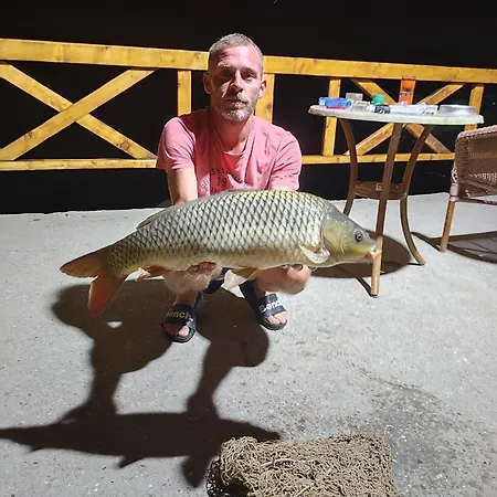 Vikendica Tisa Dukatar