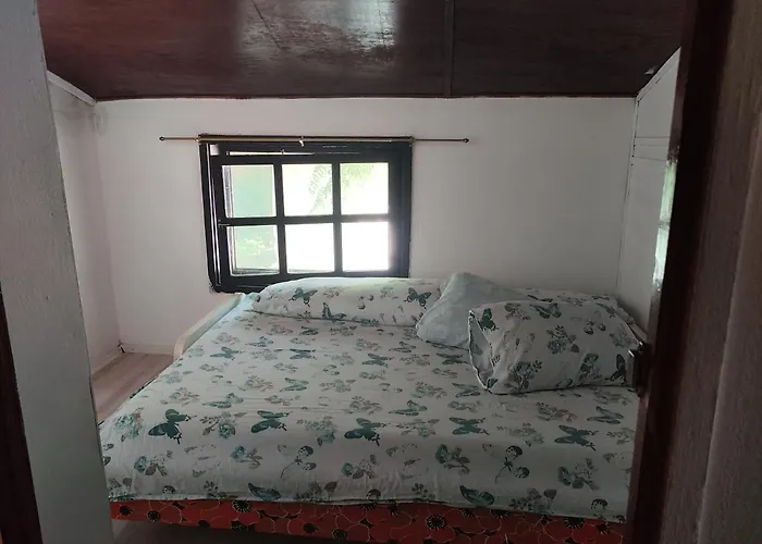 Ferienhaus Vikendica Tisa Dukatar Titel