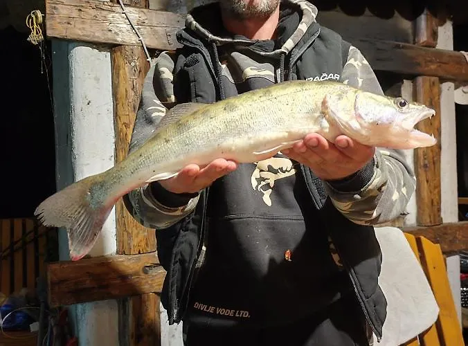 Vikendica Tisa Dukatar *