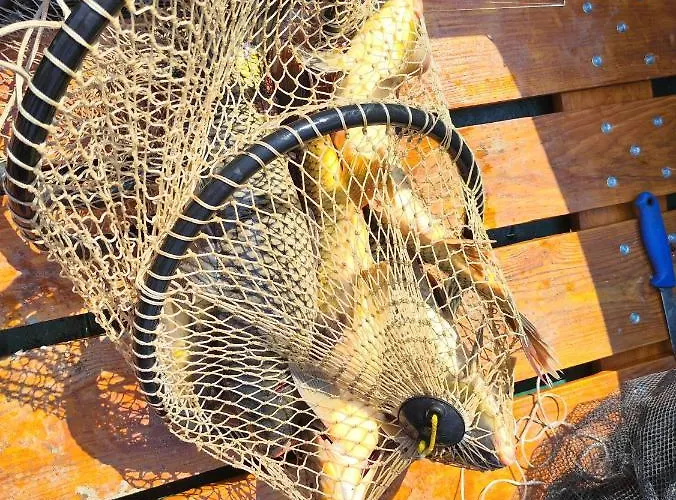 Ferienhaus Vikendica Tisa Dukatar *