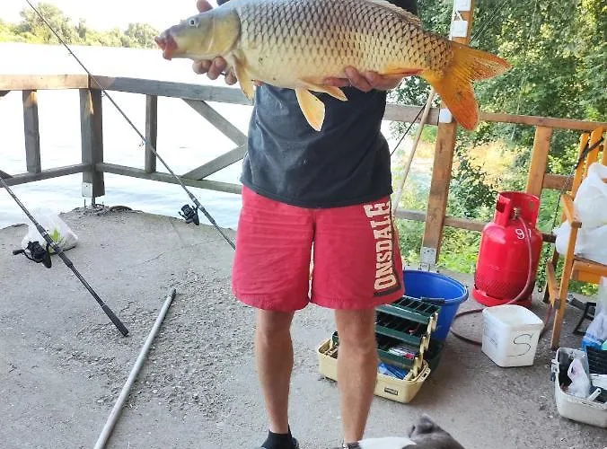 Vikendica Tisa Dukatar Ferienhaus Titel