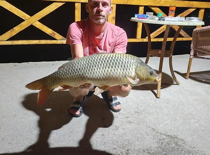 Vikendica Tisa Dukatar